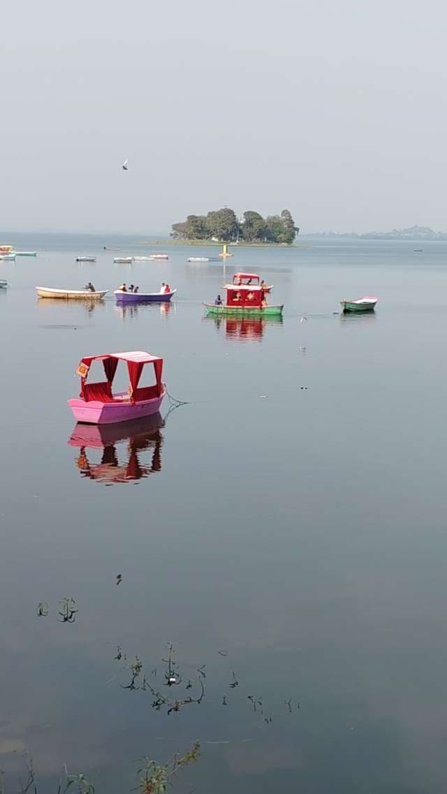 Vibrant Colorful Boats on Serene Lake
