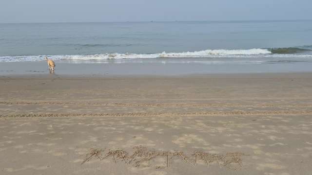 Mysterious Beach Message in Sand Revealed