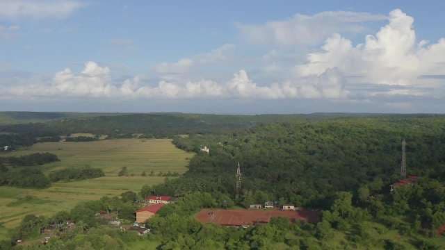Stunning Aerial View of Lush Forest and Fields