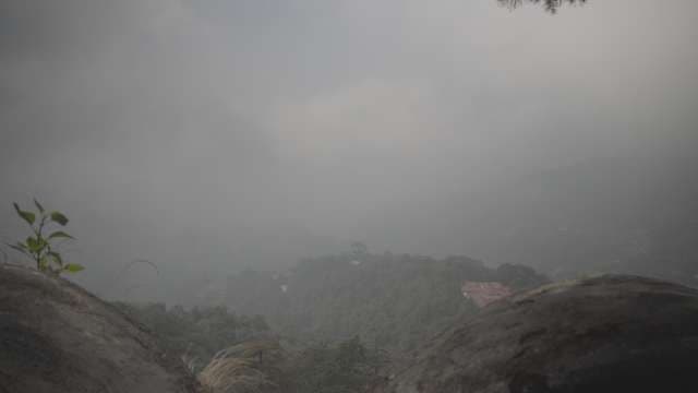 Misty Mountain Landscape with Dense Fog and Forest