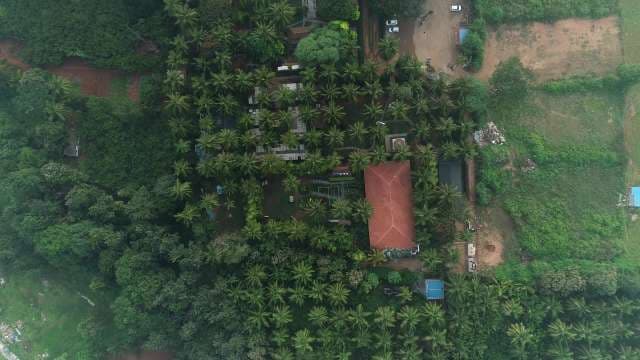 Aerial View of Tropical Estate Surrounded by Lush Palm Trees