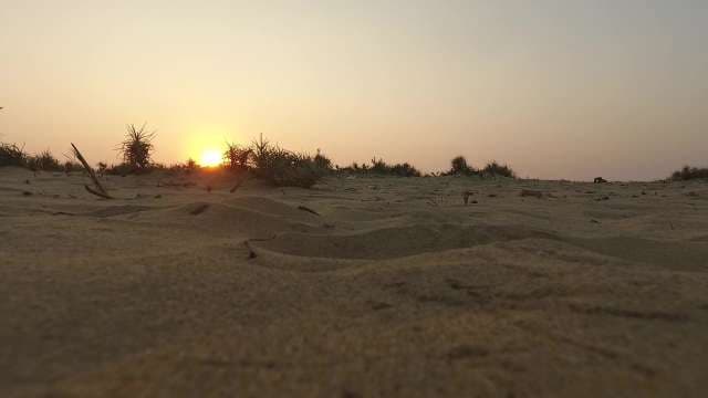 Golden Desert Sunset Over Beach
