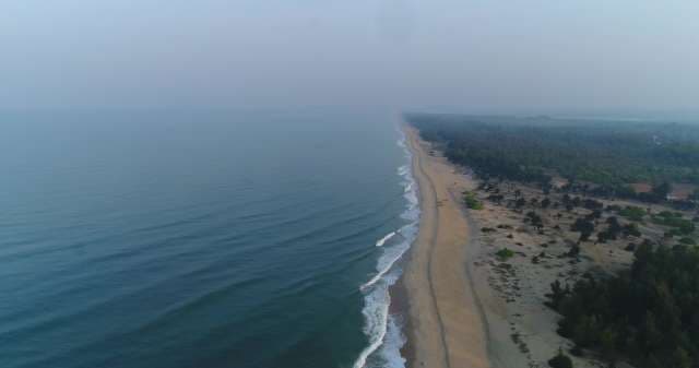 Aerial Coastal Journey: Sandy Beach Meets Dense Forest