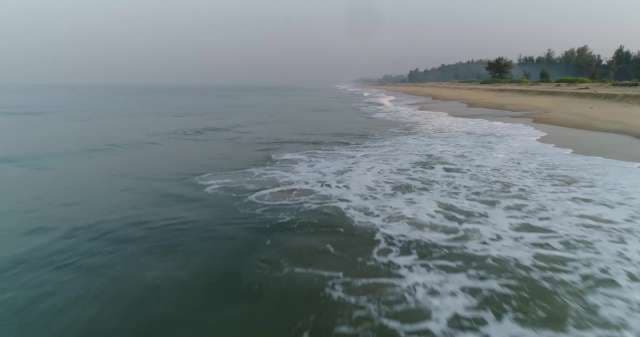 Scenic Coastal Beach with Waves and Pine Forest Shoreline