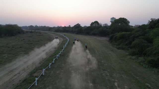 Horse Racing: Dust and Speed on Open Track