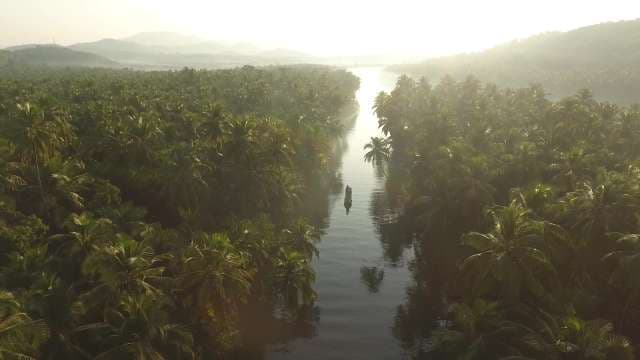 Misty Tropical River Lined With Palm Trees and Mountains