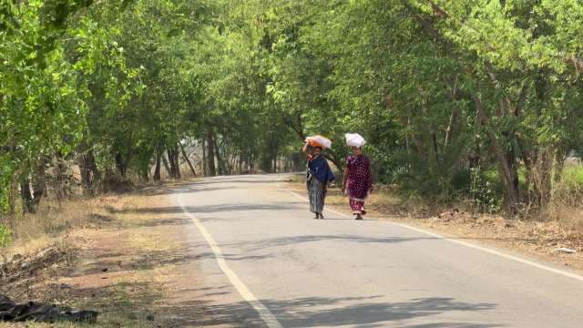 Indian Women Walking on Rural Tree-Lined Road