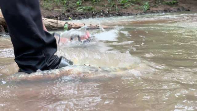 Side Closeup of Crossing Water Stream