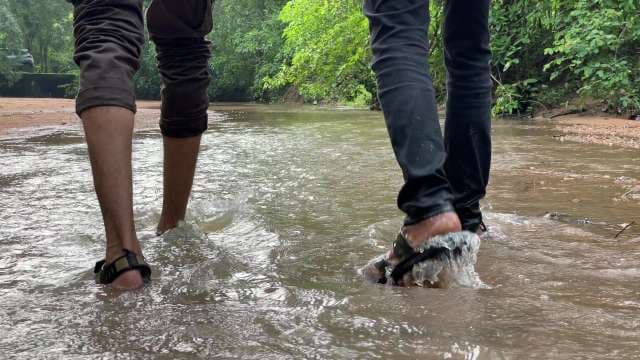 River Wading Adventure Through Lush Forest Stream