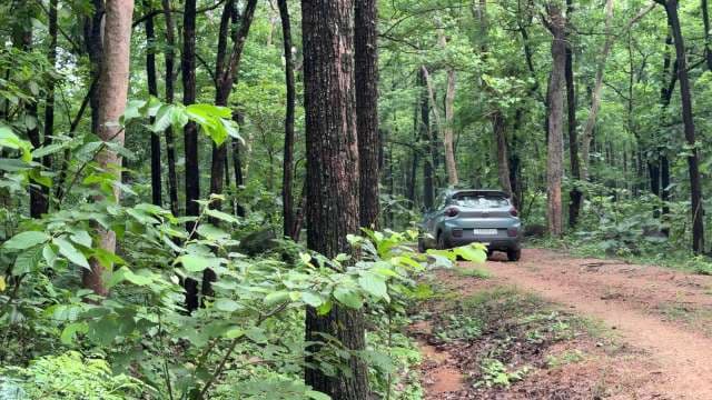Off-Road Adventure Through Dense Forest Trail