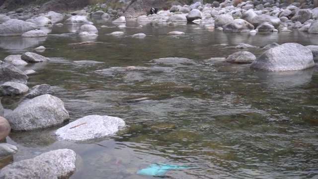 Mountain Stream With Boulders and Clear Water