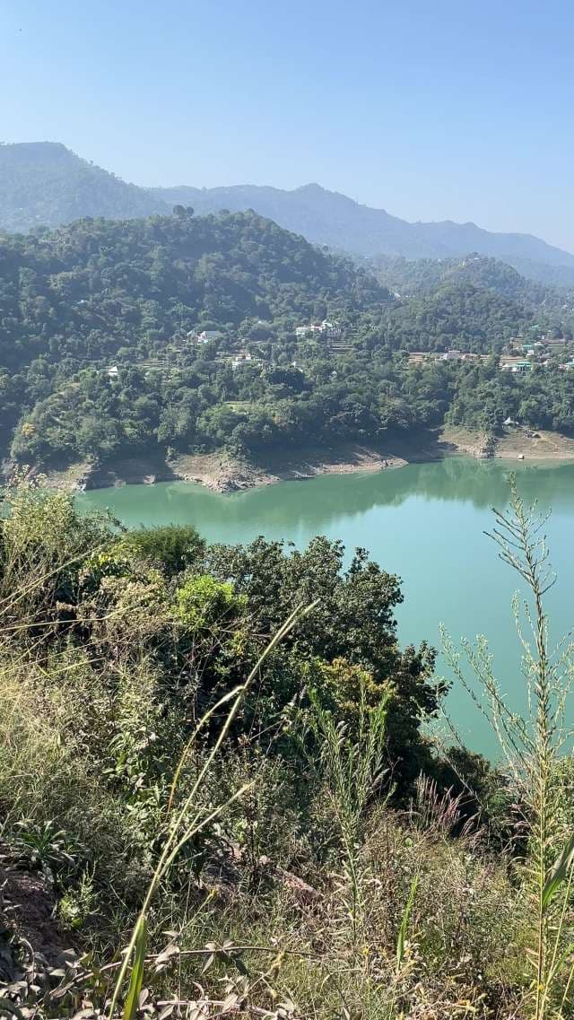  	Turquoise Dreams of Gobind Sagar Lake
