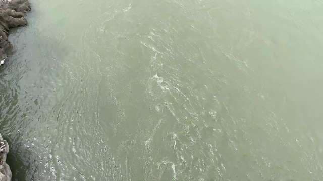 Tranquil Water Surface with Gentle Ripples and Natural Light