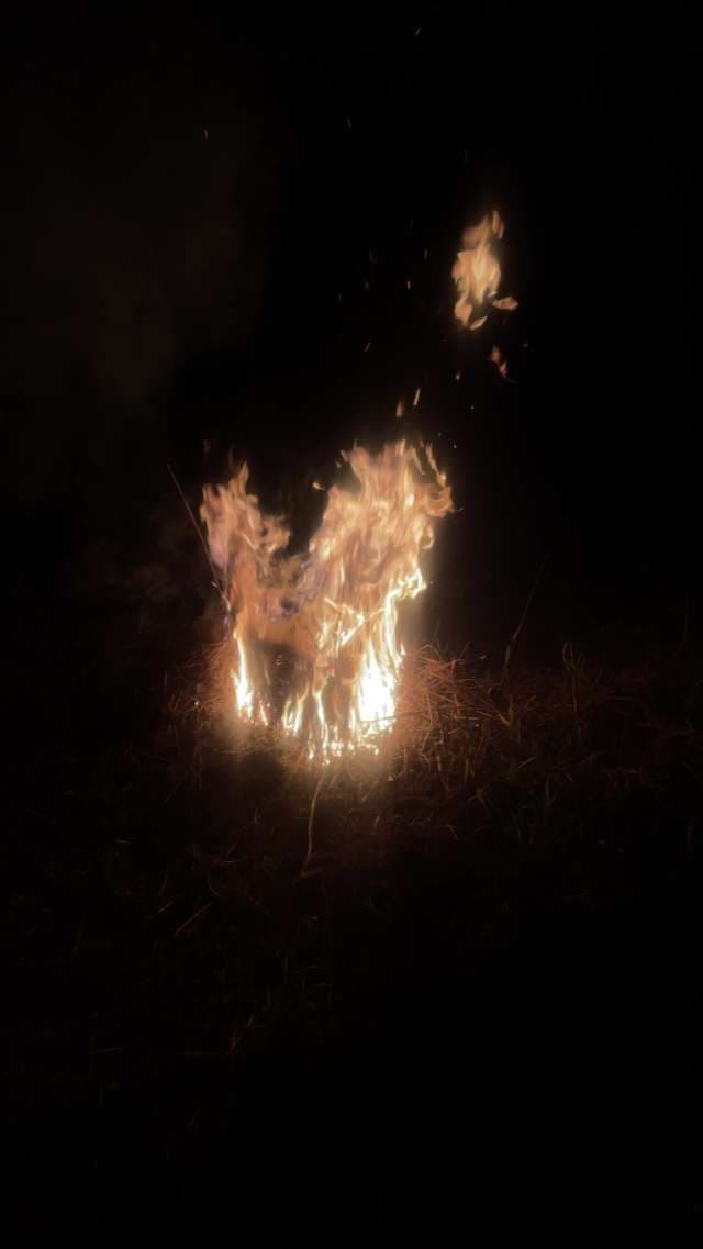 Mesmerizing Bonfire Flames Dance in Darkness