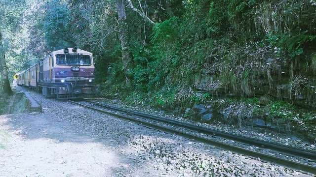 Kalka Shimla Toy Train Through Lush Forest Vegetation