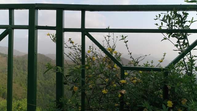 Scenic Mountain View Through Balcony Railing With Yellow Flowers