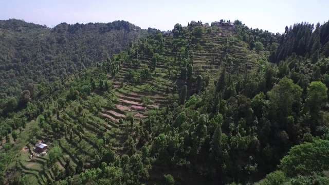 Stunning Aerial View of Lush Green Mountain Terrace Farms