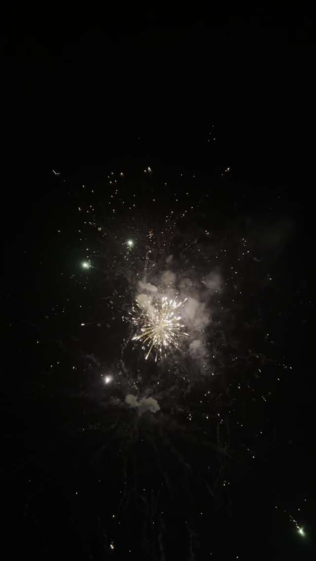Spectacular Fireworks Bursting Against a Dark Night Sky Celebration