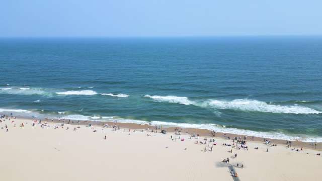 Aerial View of People Enjoying a Sunny Day on Puri Beach