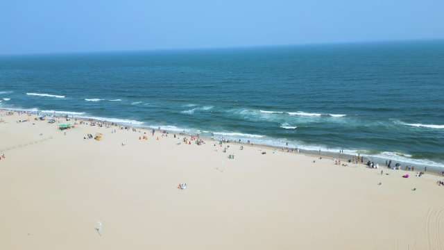 Scenic Aerial View of Crowded Sandy Beach and Blue Ocean Waves