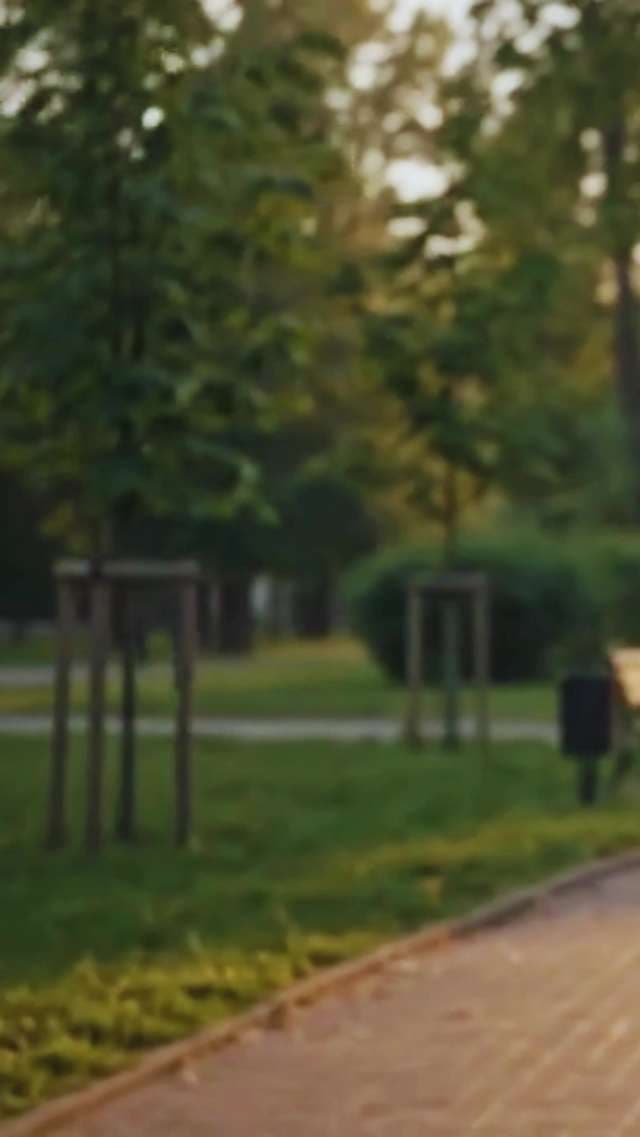 Blurred Sunset Park Background with Golden Hour Light