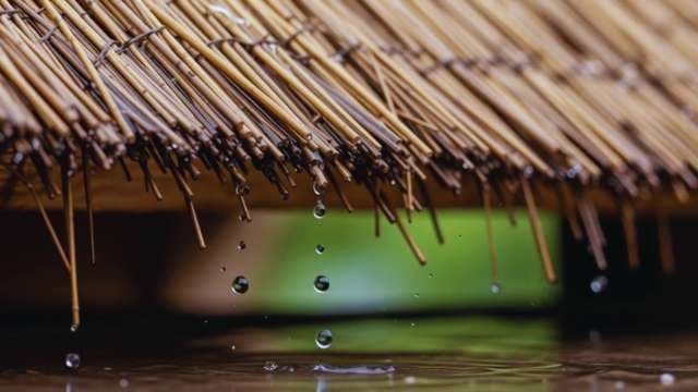 Raindrops Dripping from Traditional Thatched Roof into Puddle