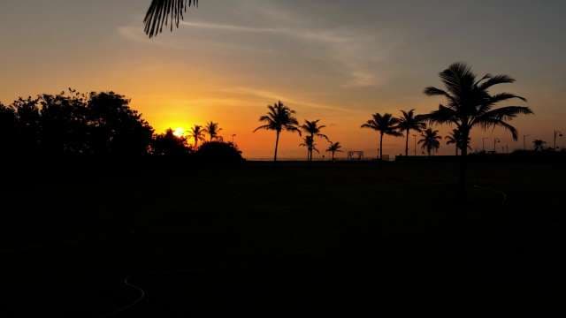 Golden Tropical Sunset with Silhouette Palm Trees