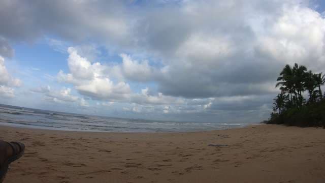 Scenic Tropical Beach with Palm Trees and Dramatic Cloudy Sky