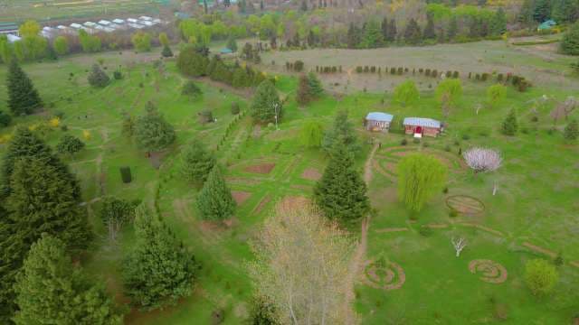 Scenic Aerial View of Manicured Botanical Garden and Green Landscape, Srinagar
