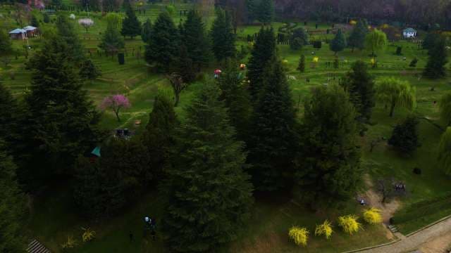 Aerial View of Lush Green Botanical Garden in Srinagar