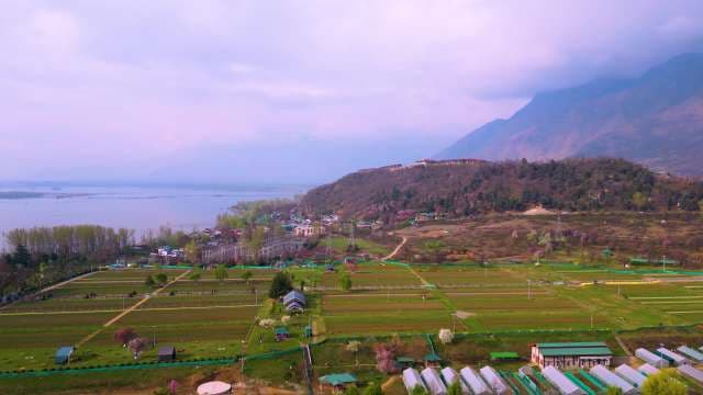 Aerial Panoramic View of Srinagar Tulip Garden and Dal Lake