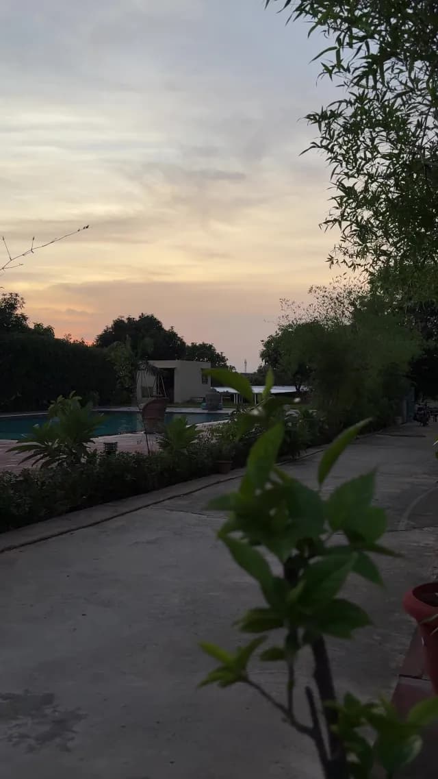 Peaceful Backyard Poolside View at Tropical Sunset