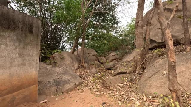 Rocky Terrain with Large Boulders and Lush Green Trees Mama Bhagne Pahar, West Bengal