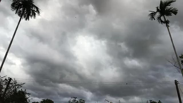 Timelapse of Moody Stormy Sky with Palm Trees and Dark Overcast Clouds in Assam