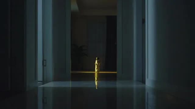 Cinematic Spotlight on Golden Sculpture in Dark Minimalist Hallway