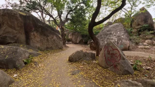 Scenic Walking Path Through Massive Boulders, Mama Bhagne Pahar
