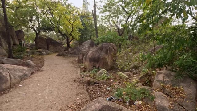 Scenic Rocky Path Mama Bhagne Pahar