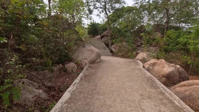 Concrete Path and Stone Stairs in Rocky Forest Mama West Bengal