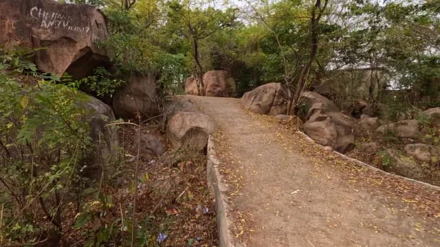 Scenic Forest Path Winding Through Large Boulders in West Bengal