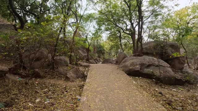 Scenic Forest Path Winding Through Large Boulders and Green Trees in West Bengal