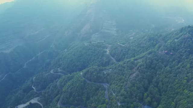 Aerial View of Winding Mountain Roads Through Lush Green Forest in Mussoorie