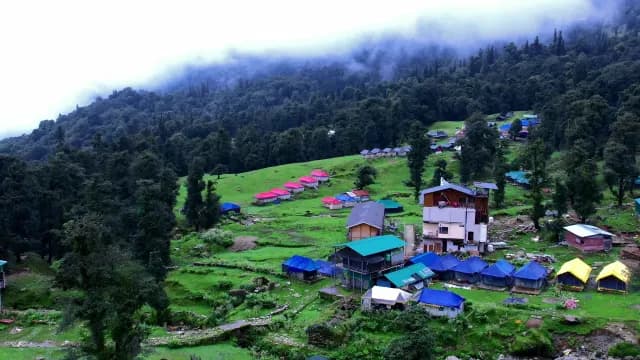 Vibrant Mountain Campsite Nestled in Misty Green Forest Valley Chopta, Uttarakhand