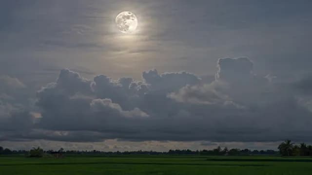 Full Moon Glowing Above Dark Storm Clouds and Green Rice Fields