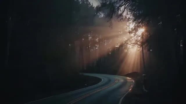 Cinematic Sunbeams Piercing Through Dark Forest Over Winding Mountain Road