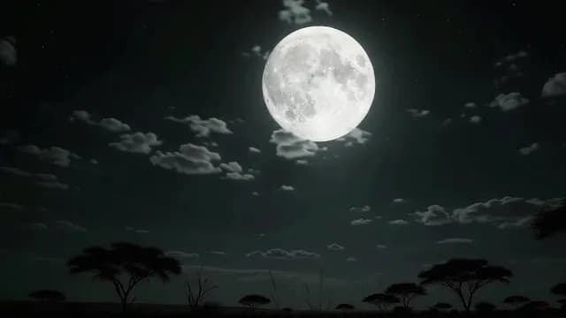 Bright Full Moon Illuminating African Savanna with Silhouetted Acacia Trees