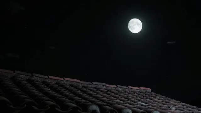 Bright Full Moon Glowing Over Tiled Rooftop at Night