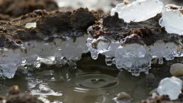 Macro Shot of Melting Ice Dripping into a Muddy Puddle