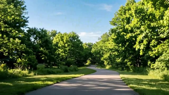 Scenic Winding Path Through Lush Green Summer Park