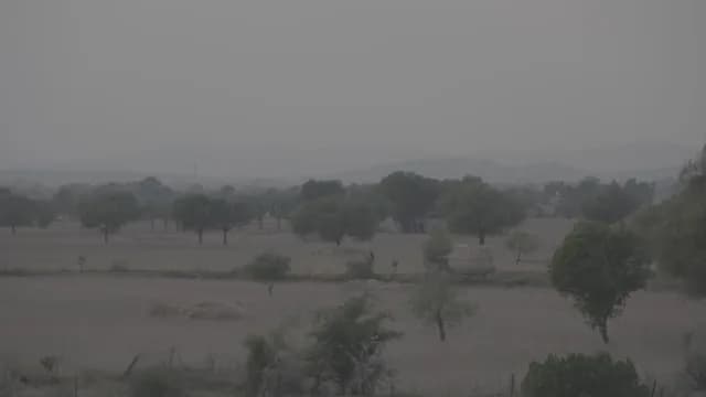 Hazy Rural Landscape with Trees and Fields under a Dusty Sky Village Life of Rajasthan