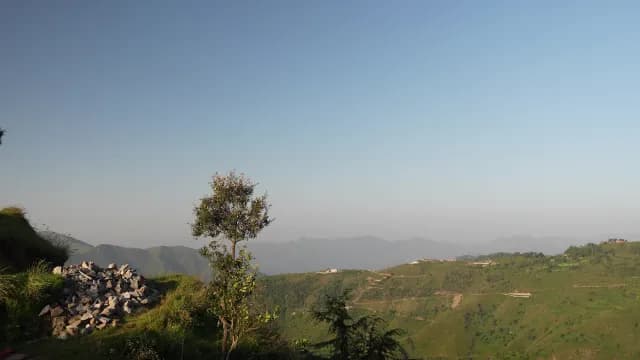 Scenic Mountain Landscape with Lone Tree and Rolling Green Hills of Chakrata, Uttarakhand